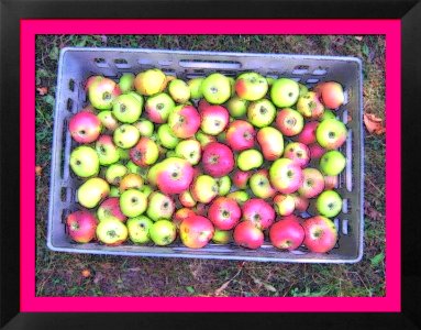 FotoSketcher - Apple