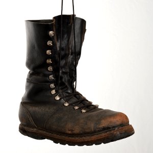 Moldy Boot
