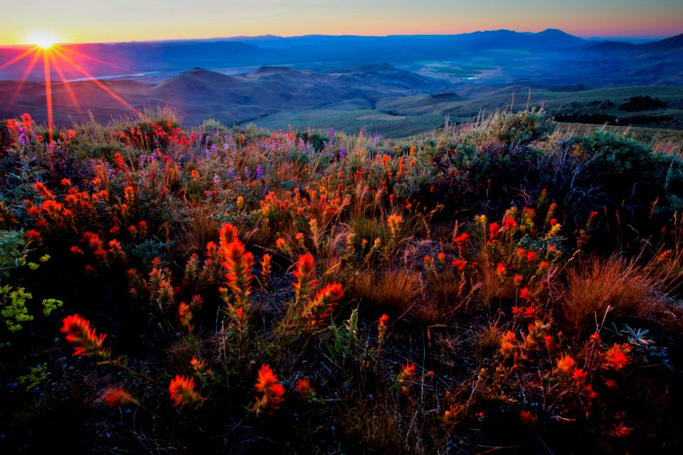 Pine Forest Range, Humboldt County NV