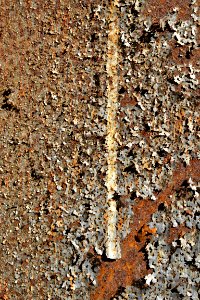sheet with rusted surface