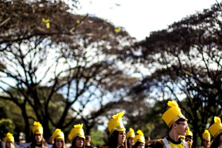 Foz do Iguaçu 101 anos