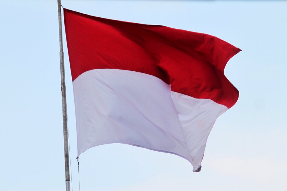 Aflutter homeland indonesian