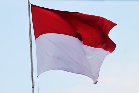 Aflutter homeland indonesian