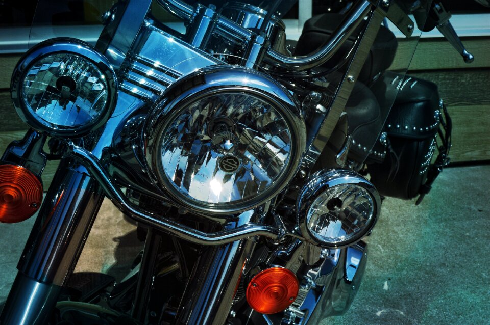 Style wild harleydavidson