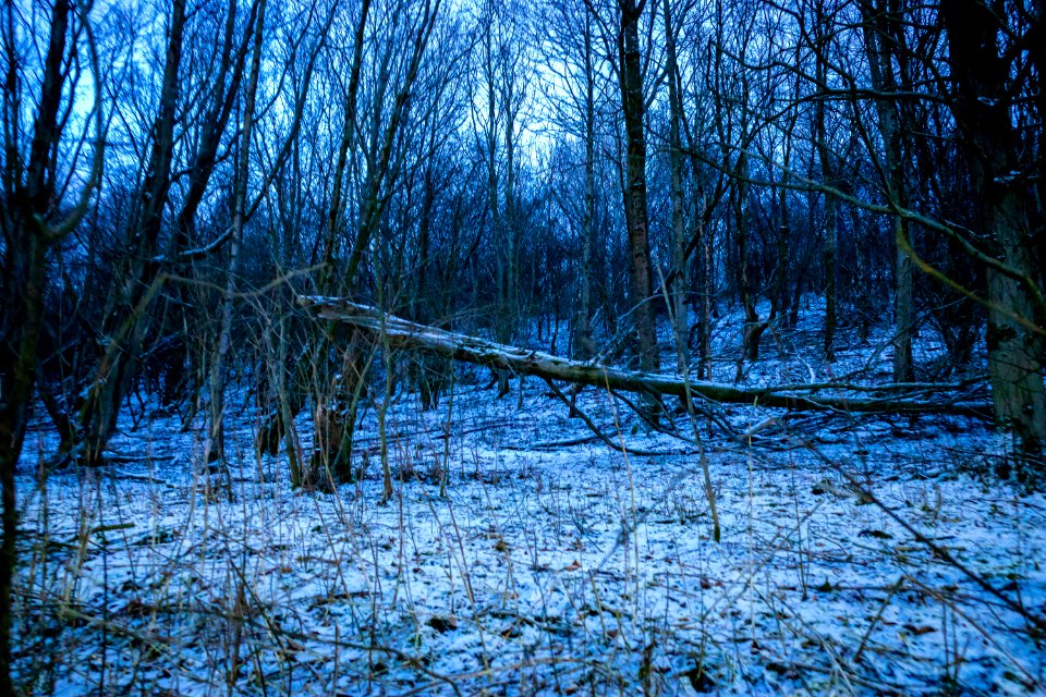 Wandering around (6 of 6)