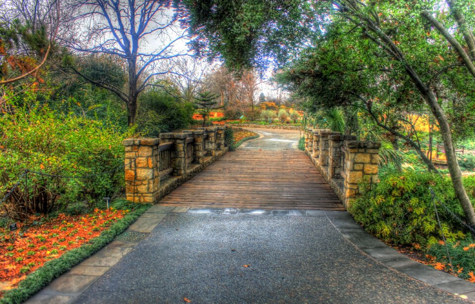 Garden landscape path