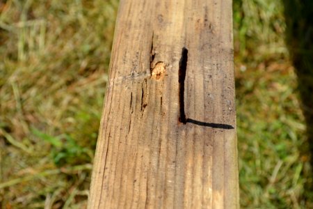 Rusty nail