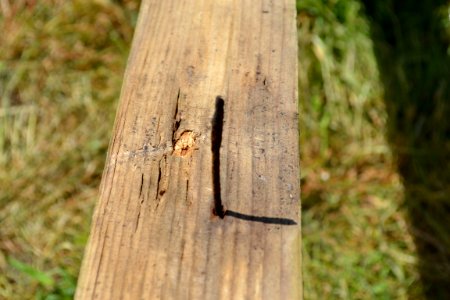 Rusty nail