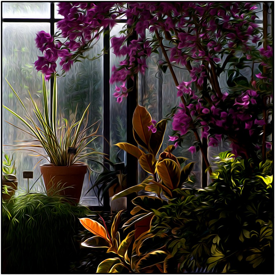 Jardin de l' Arborétum d'Angers