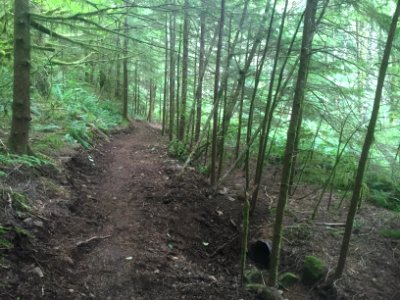 East Fork Lewis River Trail - 7-7-16