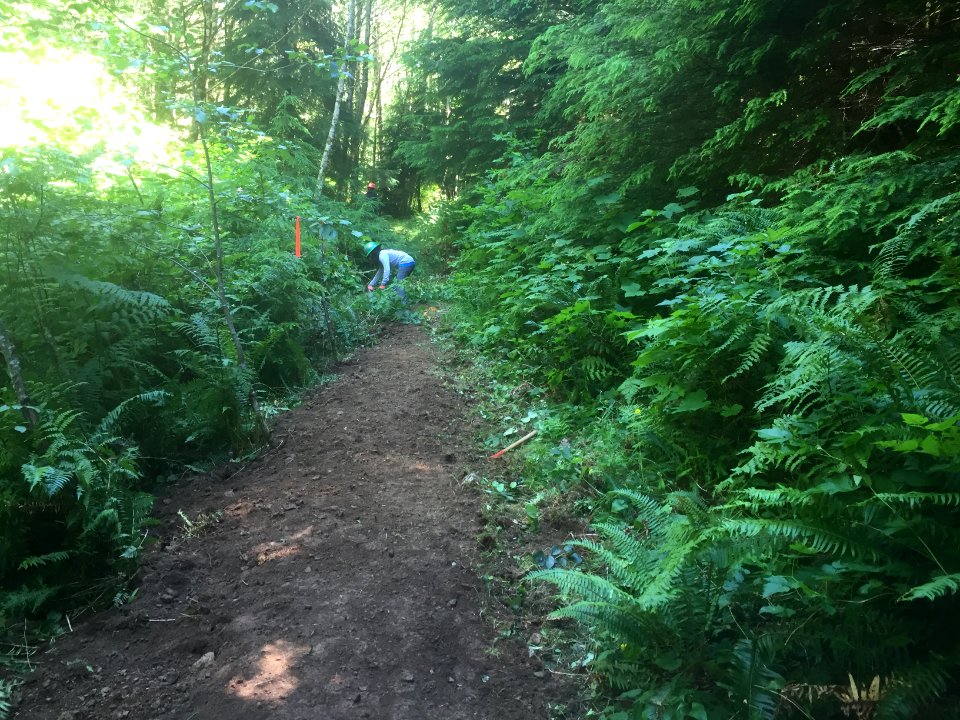 East fork Lewis River Trail