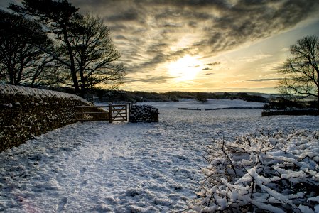 Snowy Christmas photo