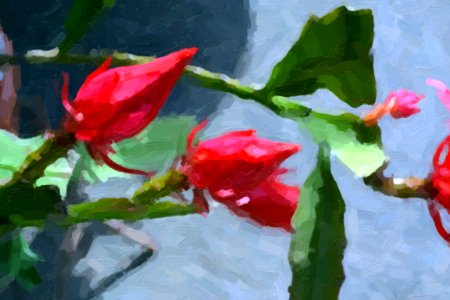 Digital oil