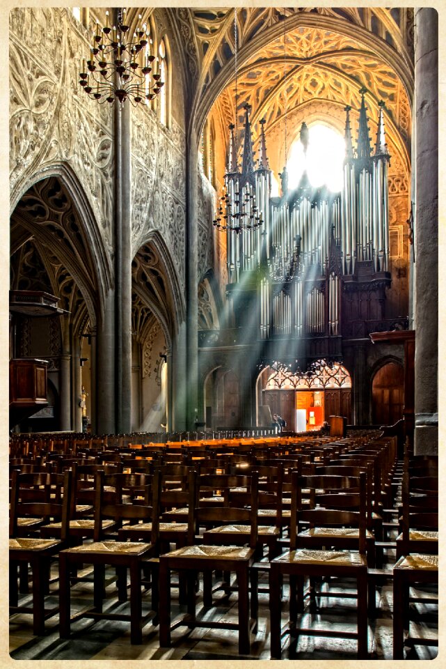 Cathedral chairs sunlight