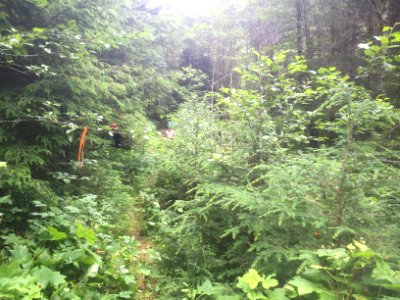 East Fork Lewis River Trail - 7-7-16