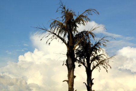 Céu de fevereiro