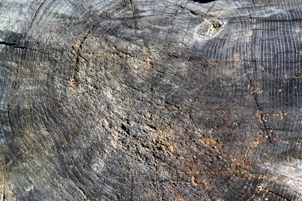 wood