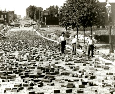 Capturing the City: Photographs from the Streets of St. Louis, 1900–1930