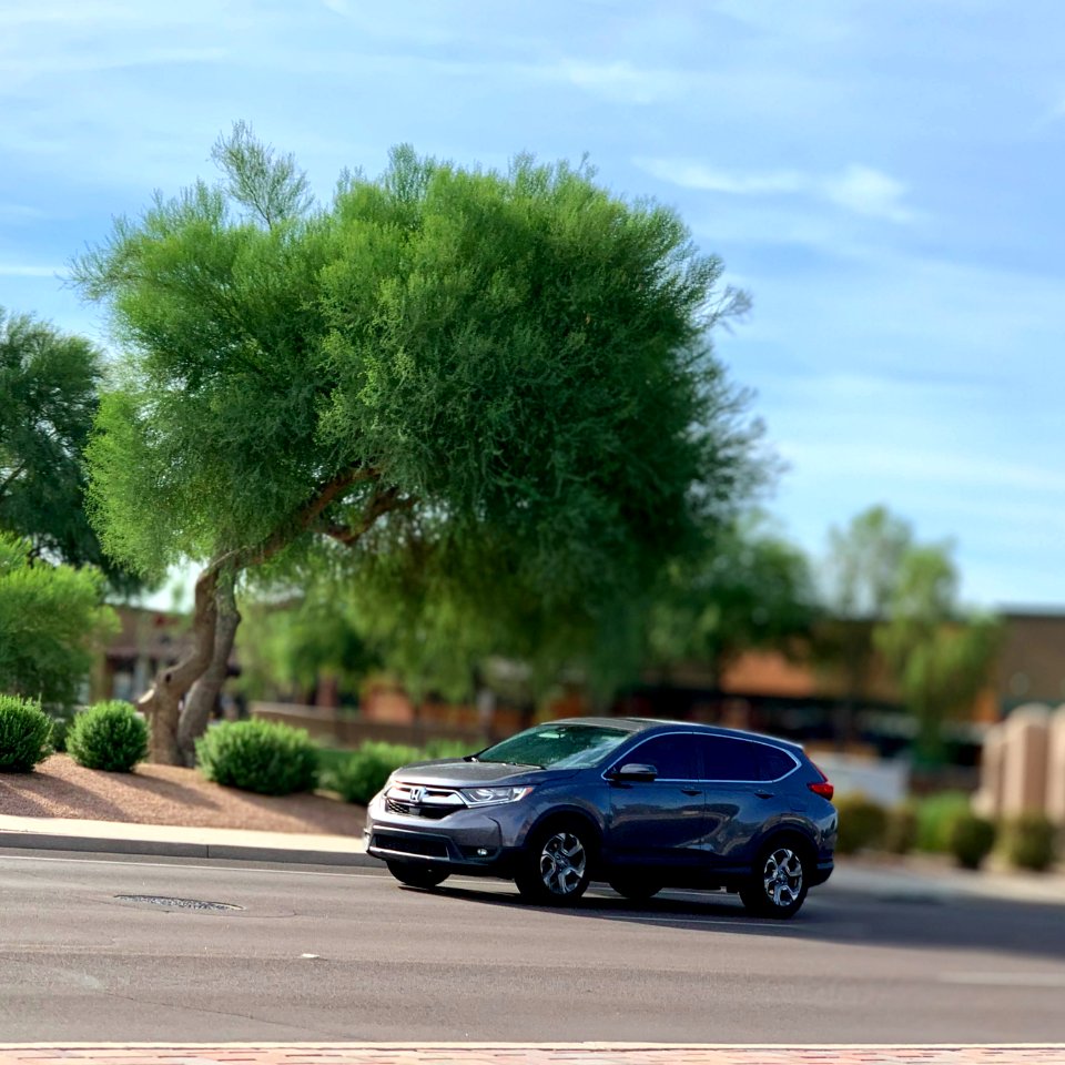 Chandler is a city southeast of Phoenix, in Arizon