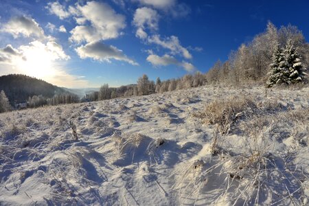 Krynica winter landscape fairy-tale winter