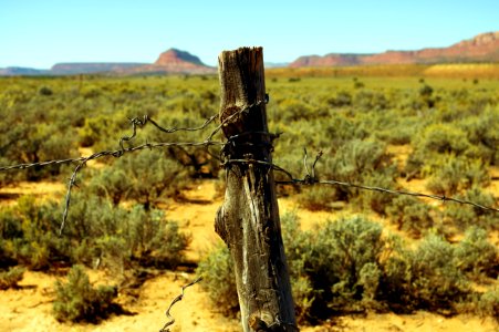 Barbed Wire–Grand Staircase-Escalante National Monument, Utah, October 9, 2015 photo