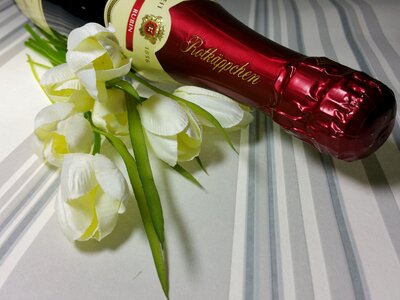 Romance flowers valentine's day photo
