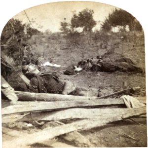 Confederate dead on the battlefield