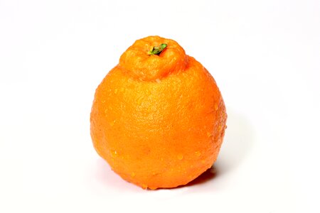 Vitamin fruit output