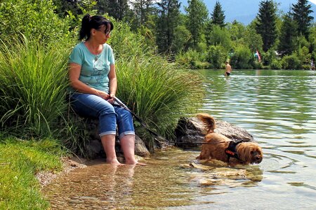 Dog kneippen treading water
