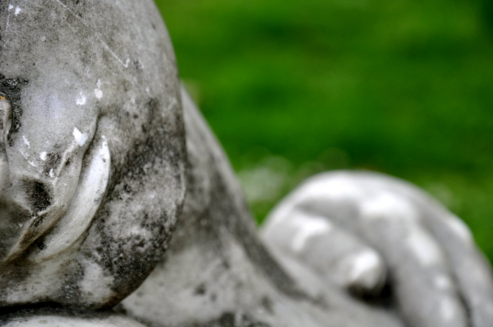 Statue - Jardin - Chateau de Dourdan