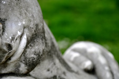 Statue - Jardin - Chateau de Dourdan