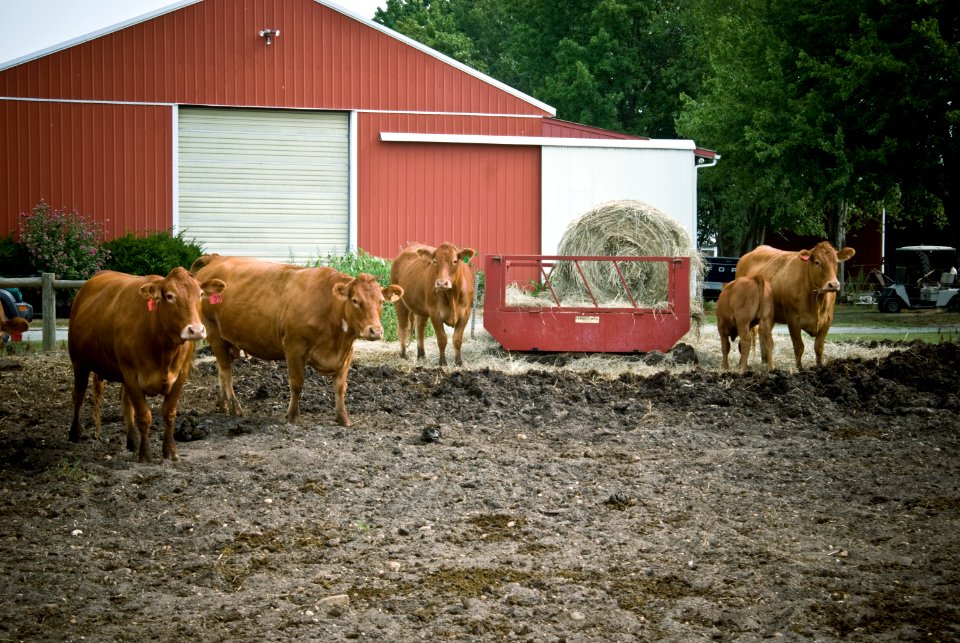 20120105-OC-AMW-0355