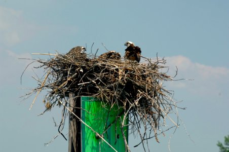 20120106-OC-AMW-0253