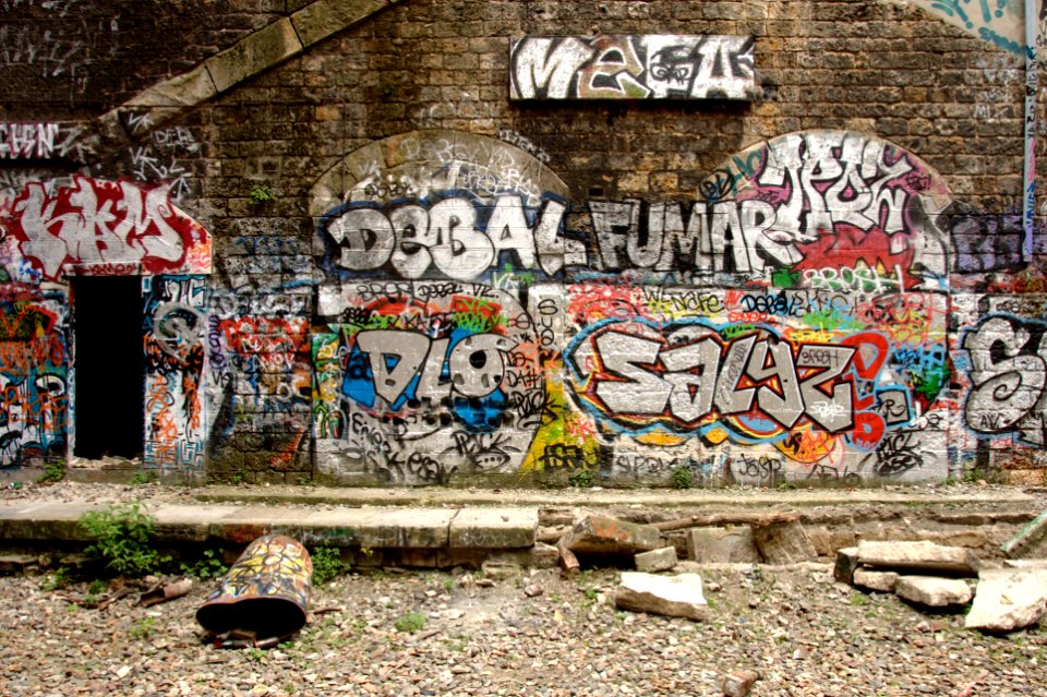 Graffitis - Petite Ceinture - Paris