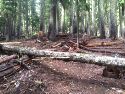 Klickitat Trail photo