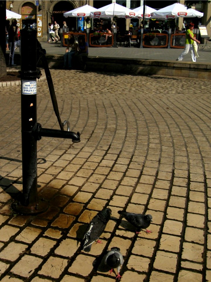 Water pomp - Krakow - Poland