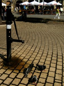 Water pomp - Krakow - Poland photo