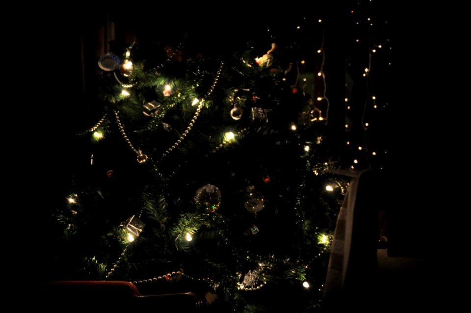 Christmas Tree photo