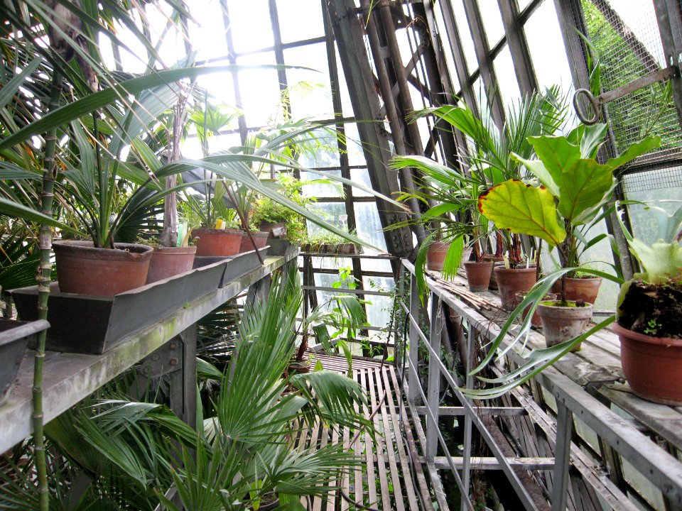 GreenHouse - Krakow - Poland