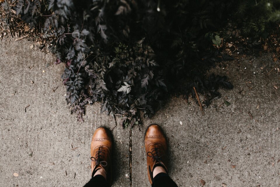 Pavement bushes gray shoes