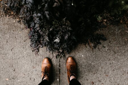 Pavement bushes gray shoes photo