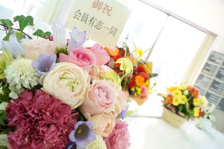 Flower arrangement congratulations gift