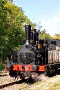 Train des mouettes - Charente-Maritime - France