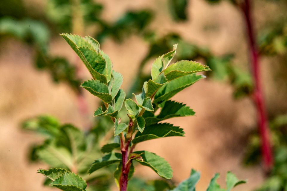 20190829-NRCS-LSC-0404