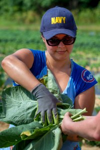 20170714-PJK-Gleaning-1168TONED