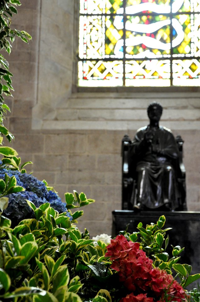 Cathedrale Saint Pierre - inside - Rennes