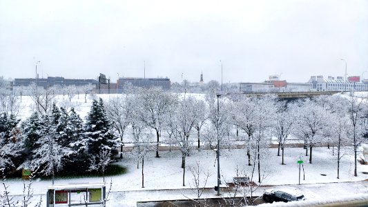 Nieve en Madrid photo