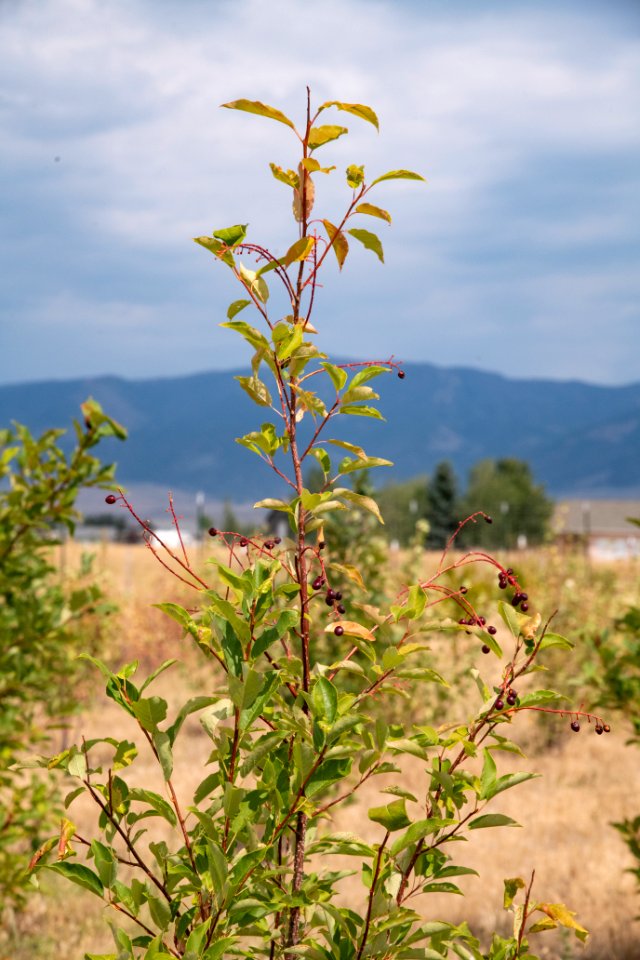 20190829-NRCS-LSC-0360