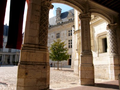 Castle - Blois photo