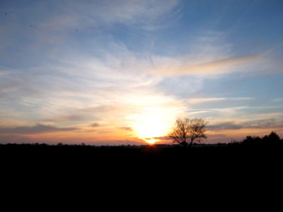 contre jour